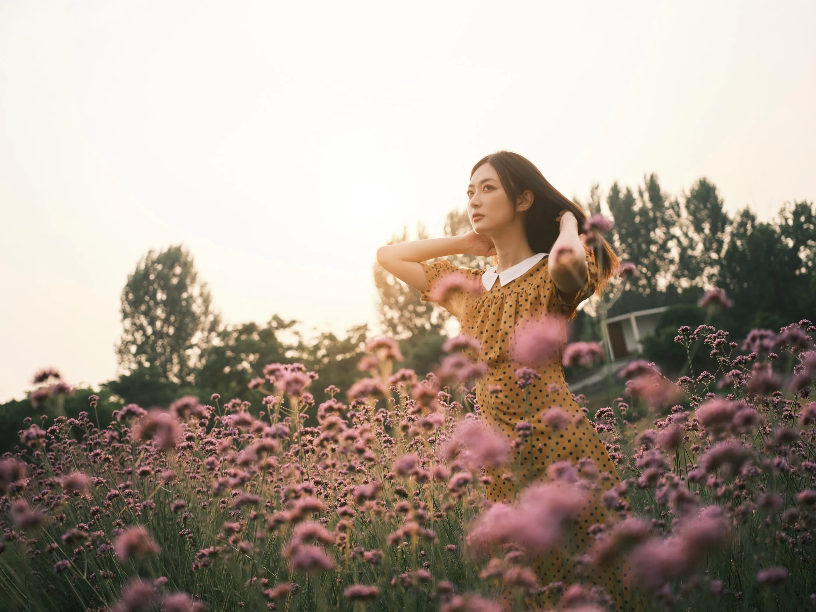 [YITUYU艺图语]2022.08.08 硫华菊柳叶马鞭草-是夏天的味道呀！ 飞鸟咕咕- [44P]插图8